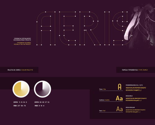 aeris 商業(yè)會計咨詢公司logo設計,馬首 國際象棋元素
