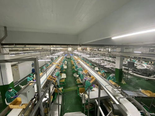 同心戰“疫” 光明食品集團海外疫情防控與穩產保供的實踐與啟示